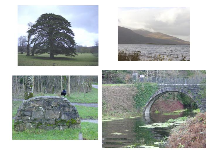 Slide3.JPG